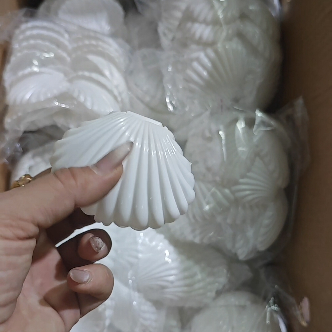 فروش گیفت صدف سفید
